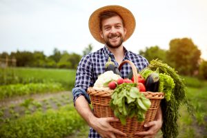 landwirtschaft