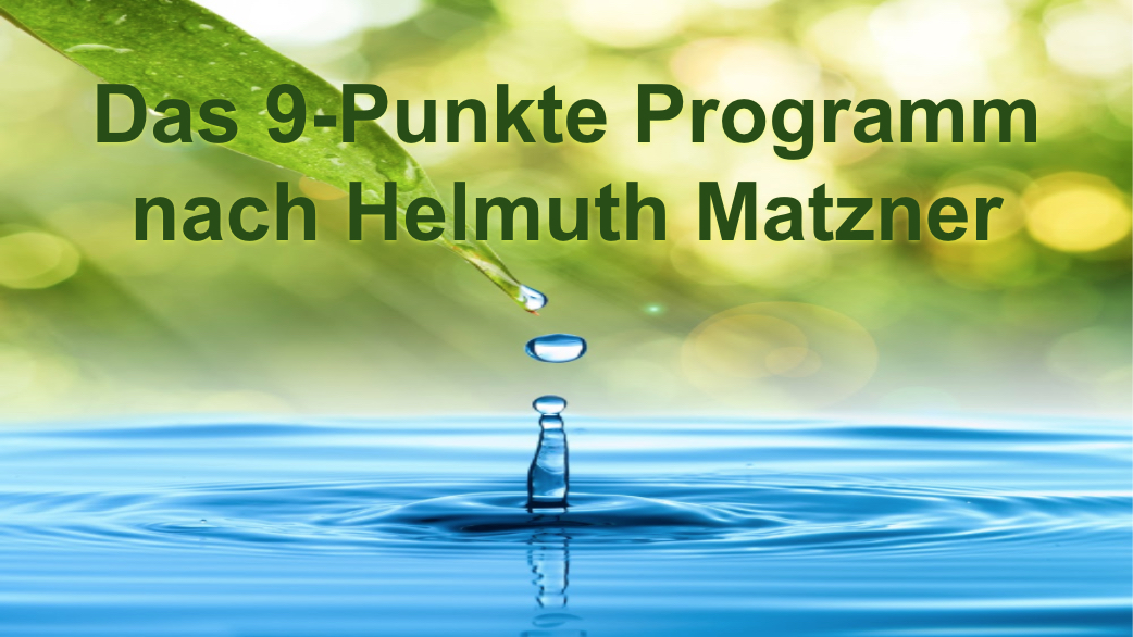 9 punkte programm