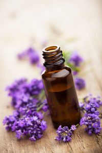 lavendel-rezepte