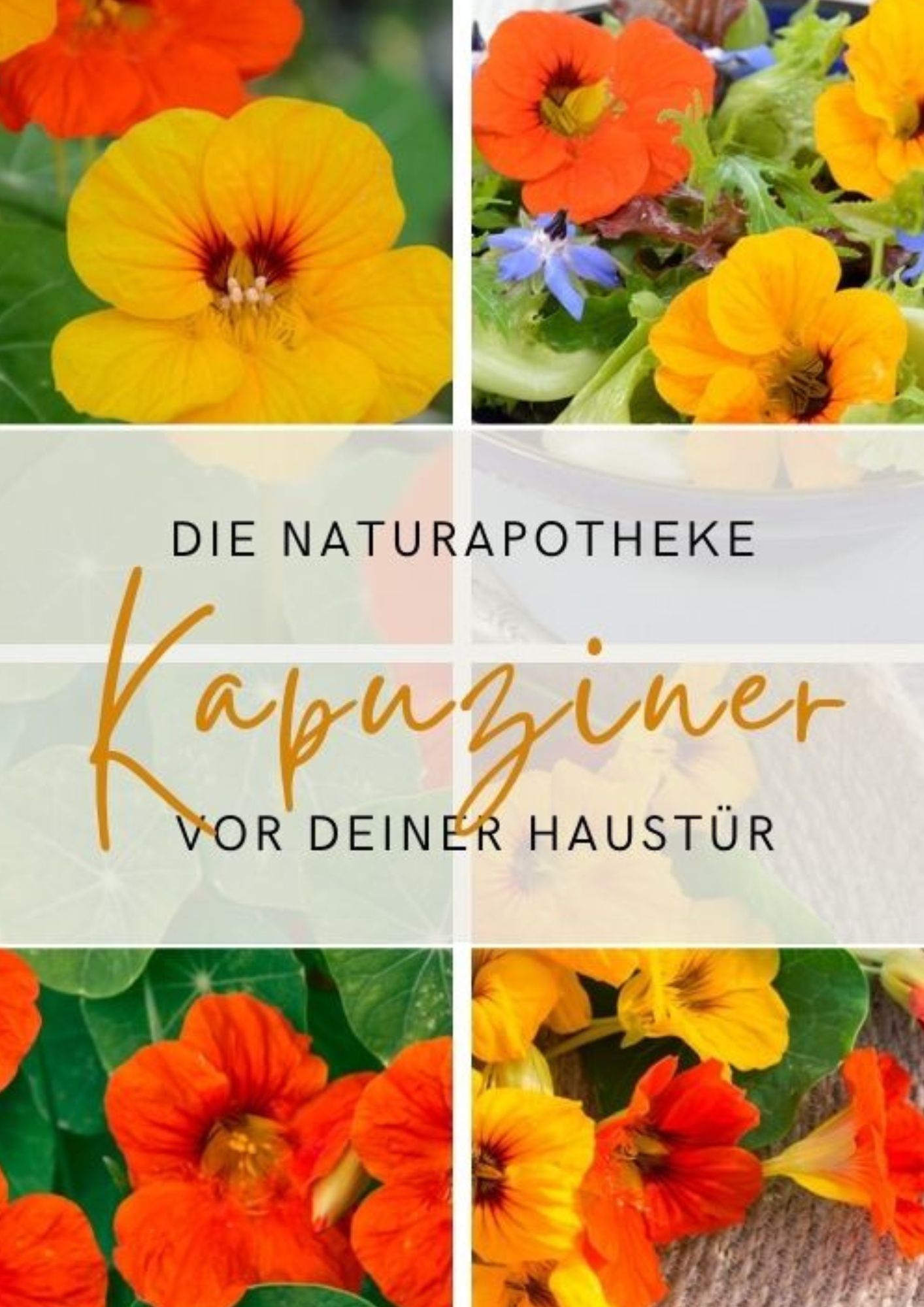 kapuzinerkresse rezepte