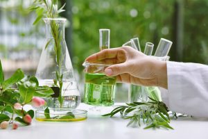 immunsystem wissenschaft