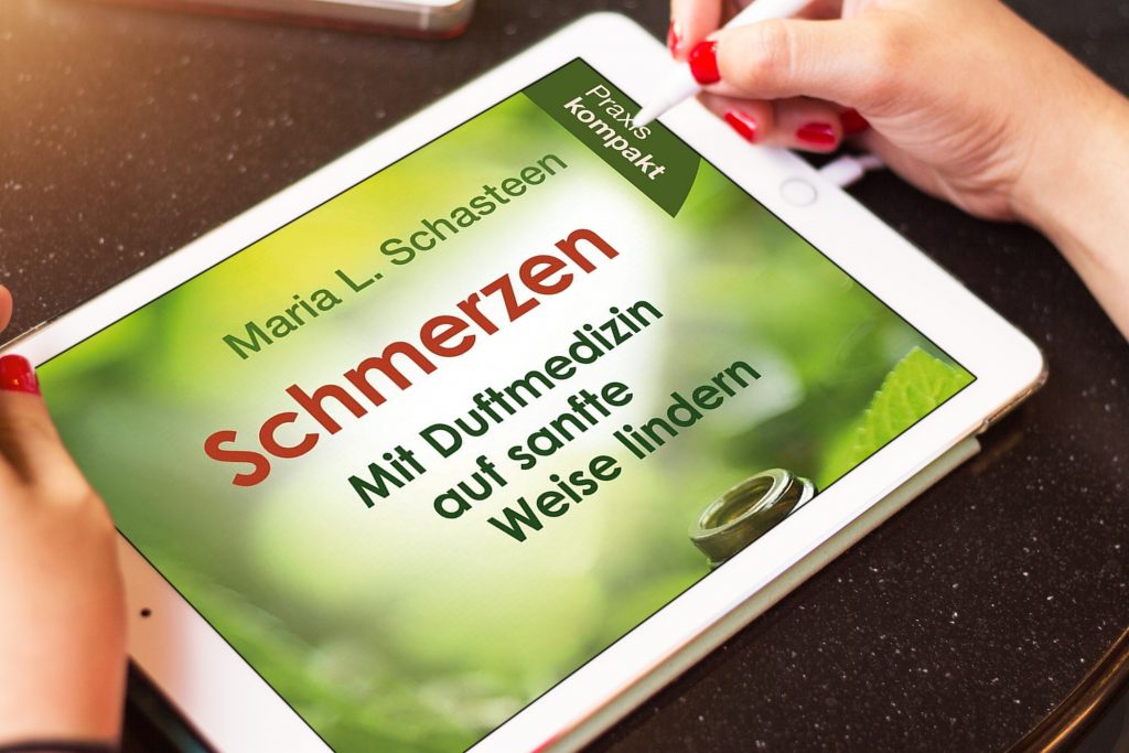 Medien Fragen zum Buch Schmerzen