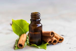 Cinnamomum verum Wissenschaft