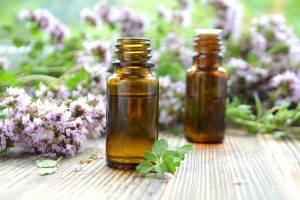 Origanum majorana Wissenschaft