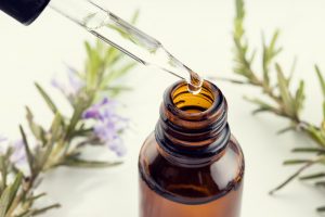 Rosmarinus officinalis Wissenschaft