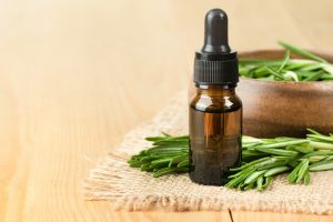 Rosmarinus officinalis Wissenschaft