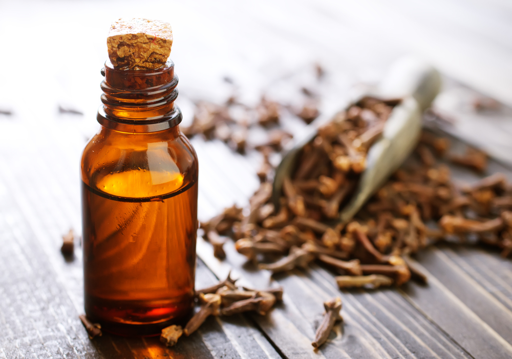 Syzygium aromaticum Wissenschaft