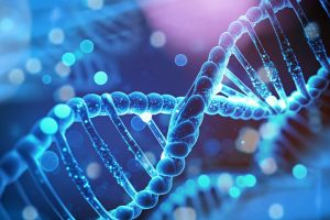 Wie und Warum wirken ätherische Öle auf die Genexpression ein