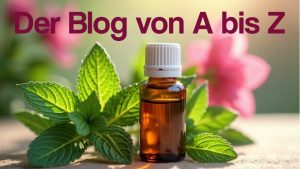 Blog Artikel
