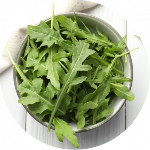 Rucola Salat