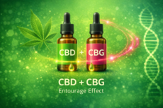 CBD und CBG